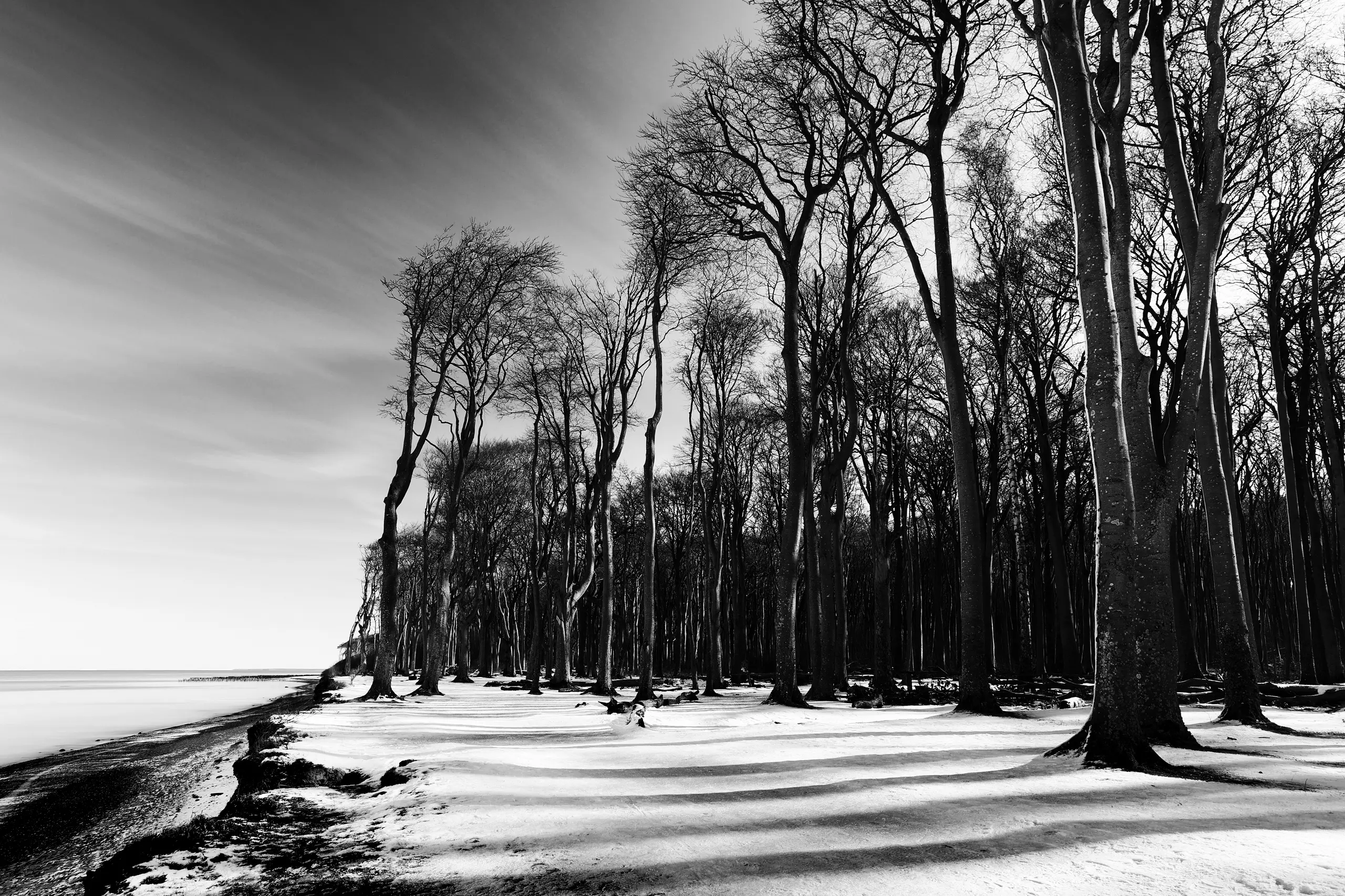 Bild 046
