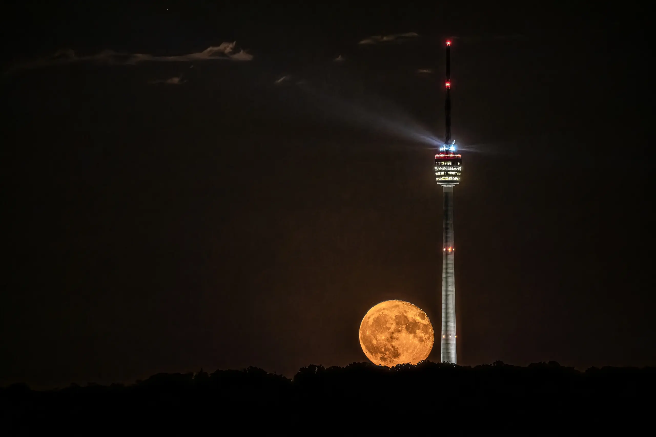 Bild 096
